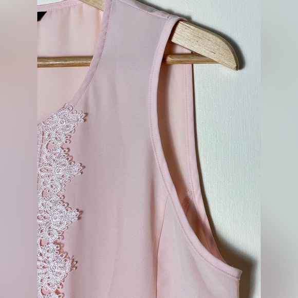 Zac & Rachel Women Top M Pink Blush Lace Embroidery Panel Front Sleeveless Sheer - Picture 6 of 15